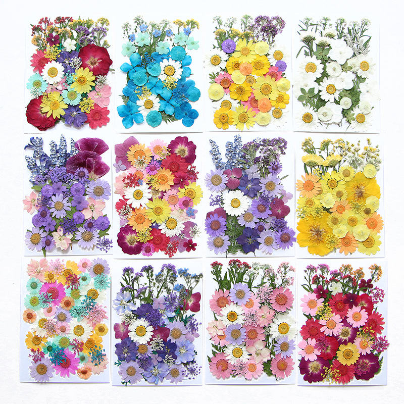 Resin Craft Ideas - 6pcsDried Flowers Real Natural Plant Pressed