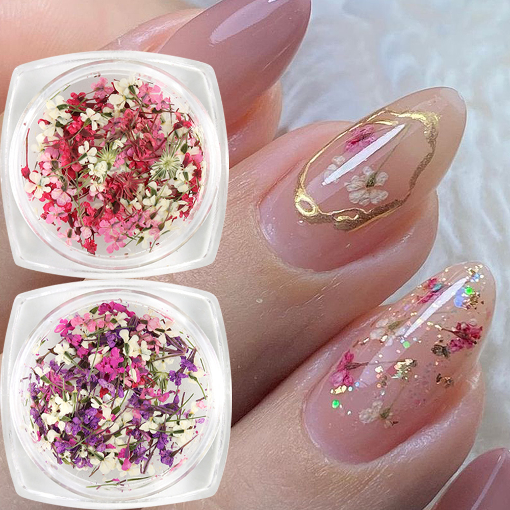 Mixed Colors Gypsophila False  - Dried Flower Bulk recension och pris