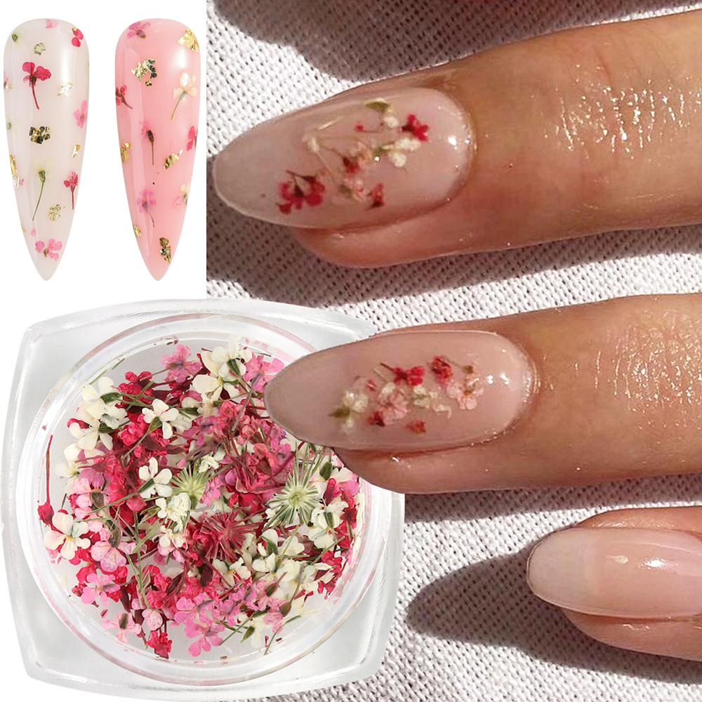Mixed Colors Gypsophila False  - Dried Flower Bulk recension och pris