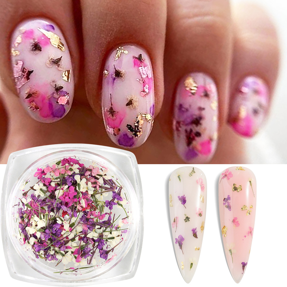 Mixed Colors Gypsophila False  - Dried Flower Bulk recension och pris