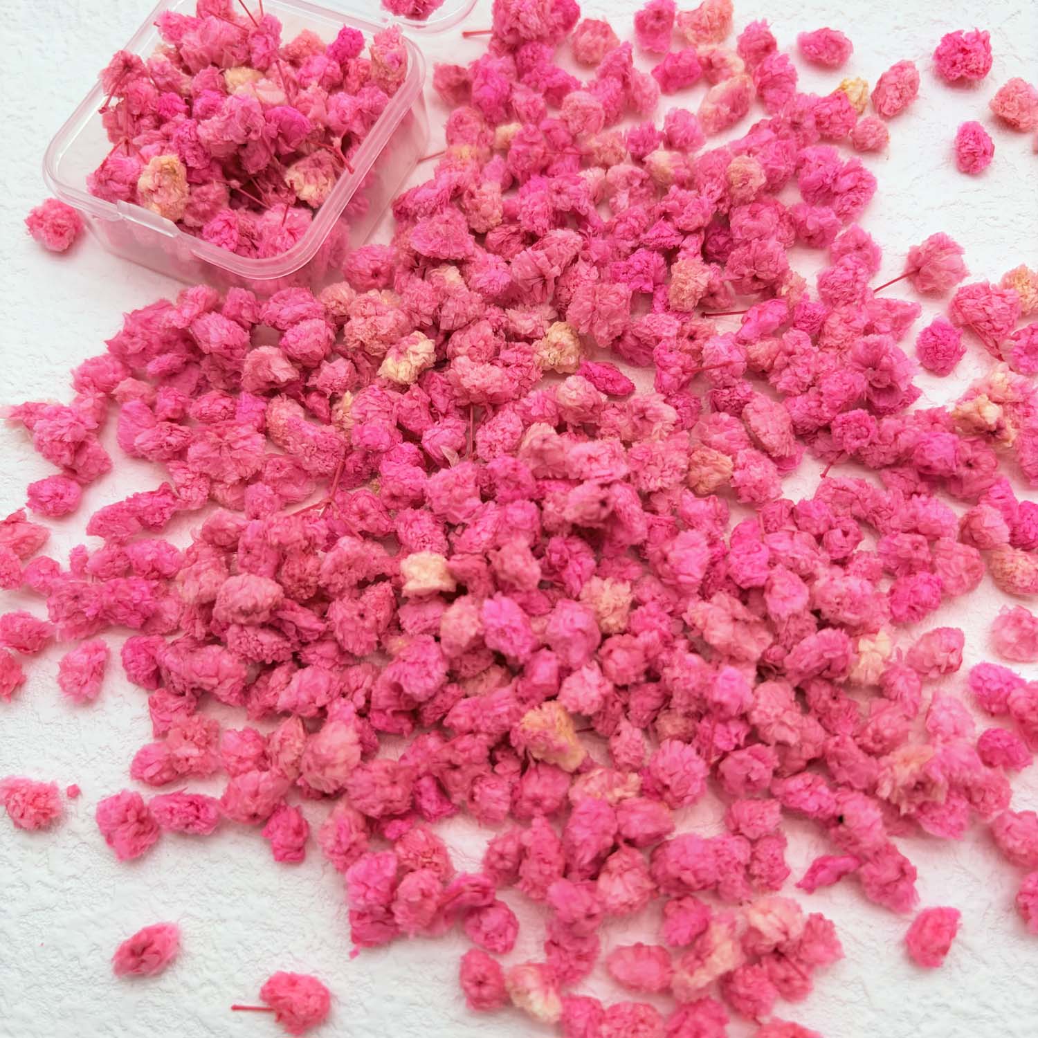 70 Stem Blue Fluffly Rabbit Ta - Dried Flower Bulk recension och pris