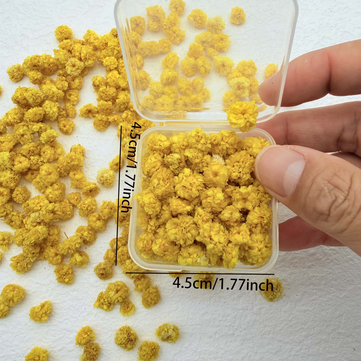 70 Stem Blue Fluffly Rabbit Ta - Dried Flower Bulk recension och pris