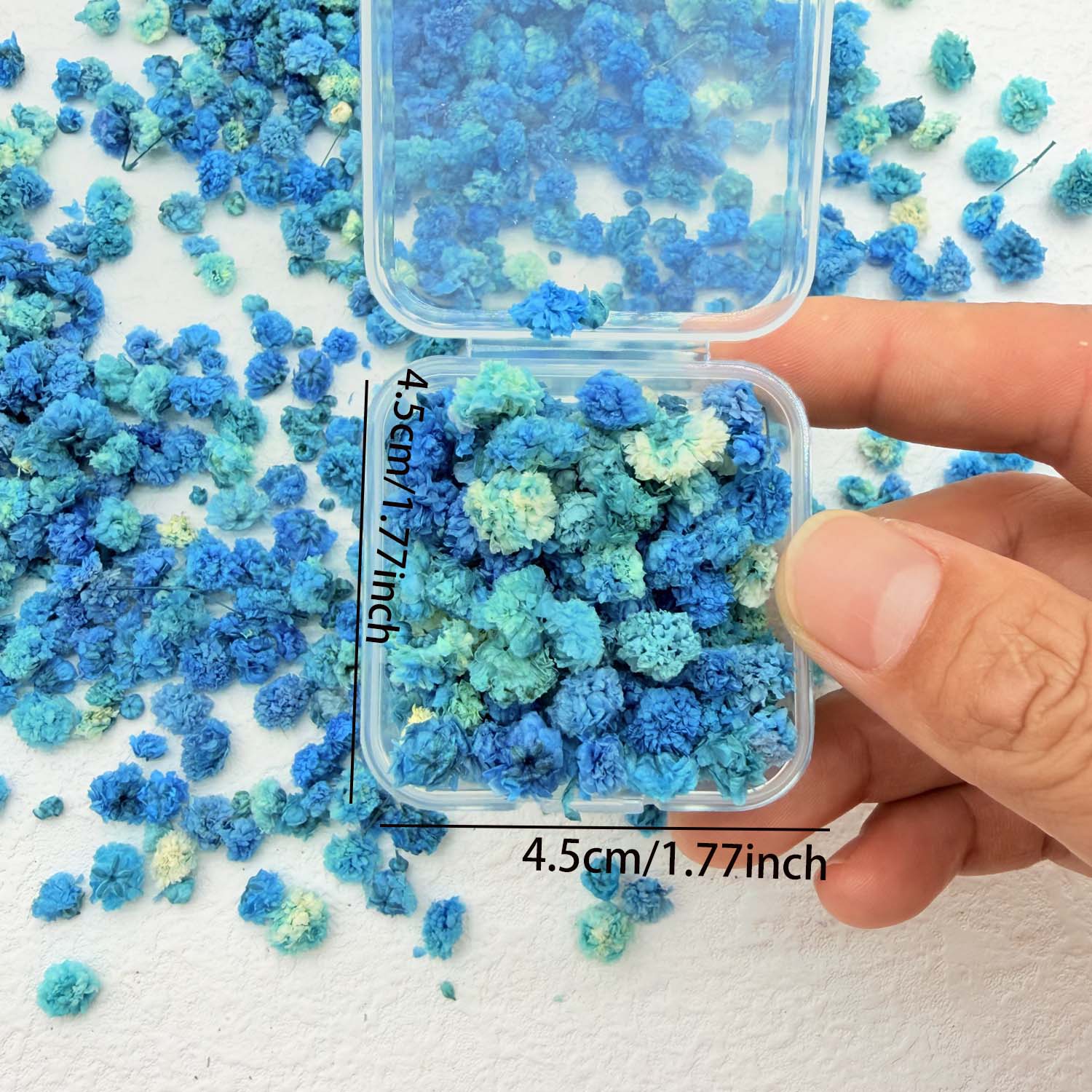 70 Stem Blue Fluffly Rabbit Ta - Dried Flower Bulk recension och pris
