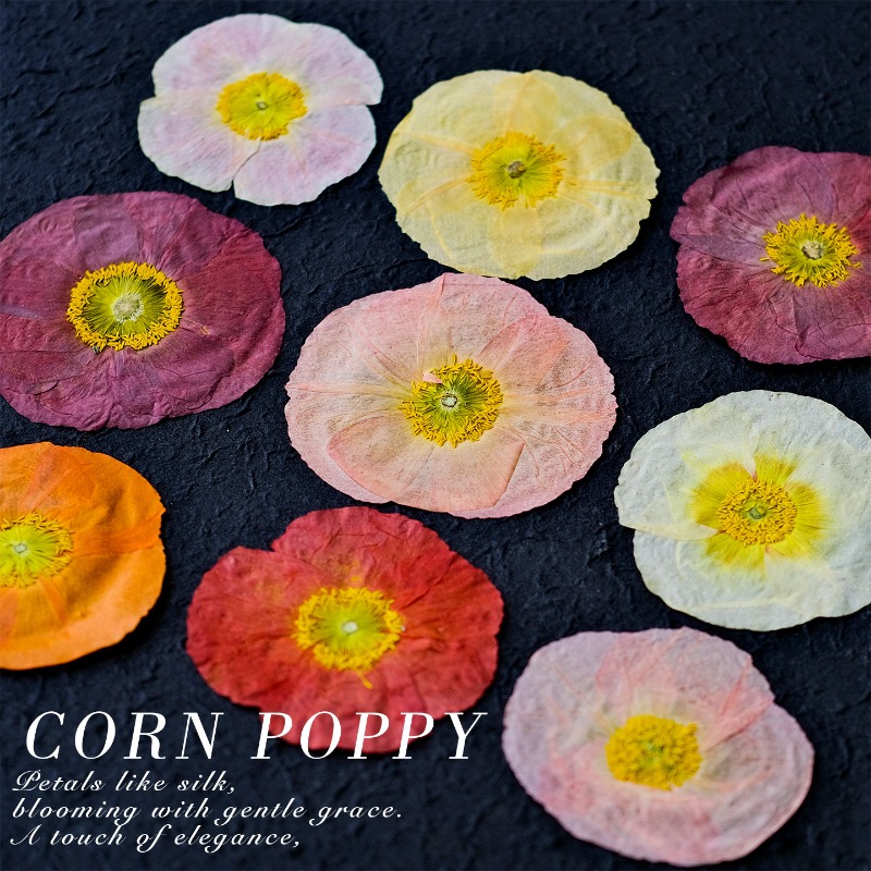 1pcs,Nature Field Poppy Presse - Resin Craft Ideas recension och pris