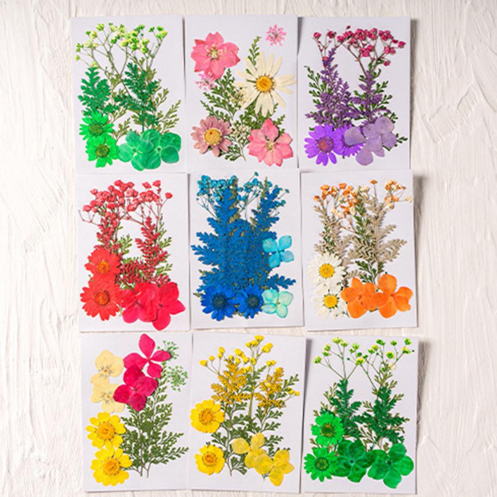 Dried Flower Bouquet Premium D - Dried Flower Bulk recension och pris