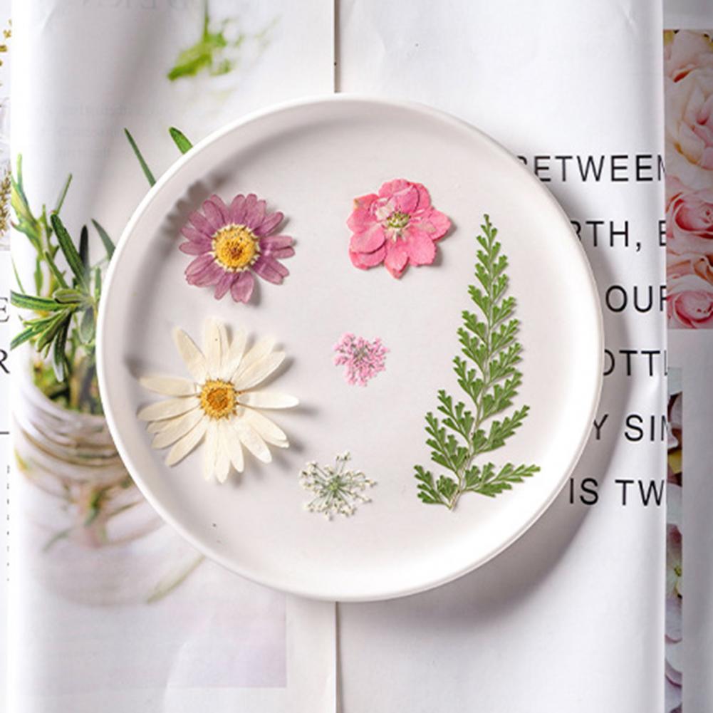 Dried Flower Bouquet Premium D - Dried Flower Bulk recension och pris