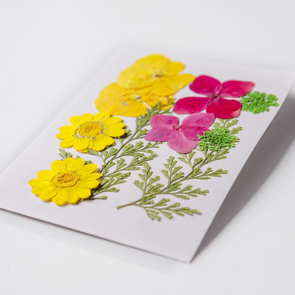Dried Flower Bouquet Premium D - Dried Flower Bulk recension och pris