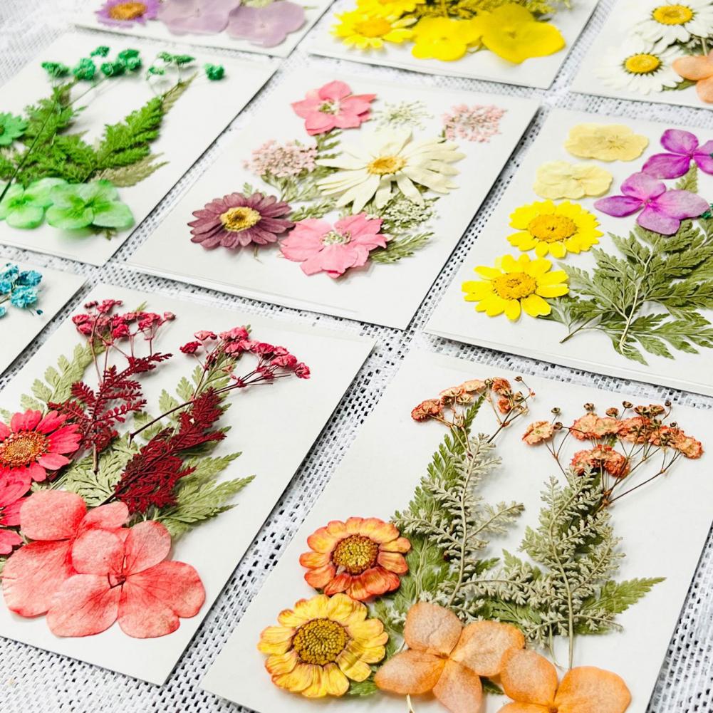 Dried Flower Bouquet Premium D - Dried Flower Bulk recension och pris
