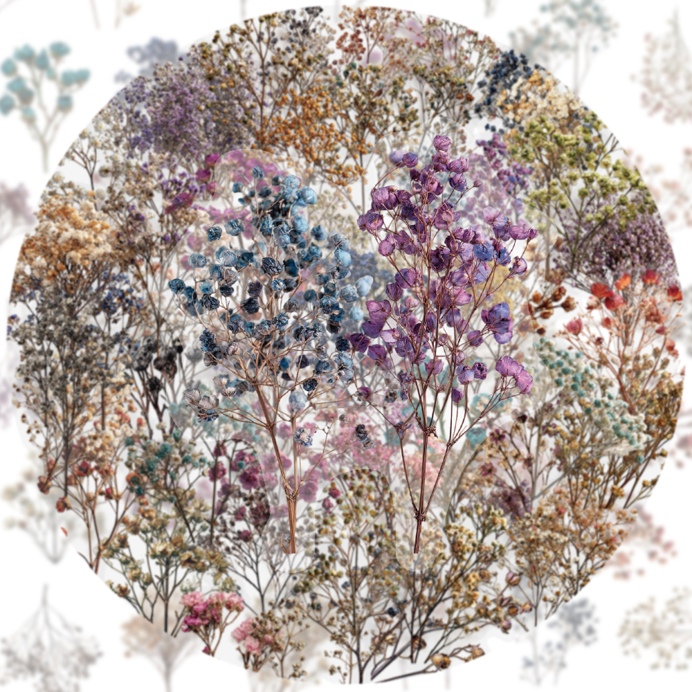 50PCS Retro Color Dried Flower - Dried Flower Bulk recension och pris