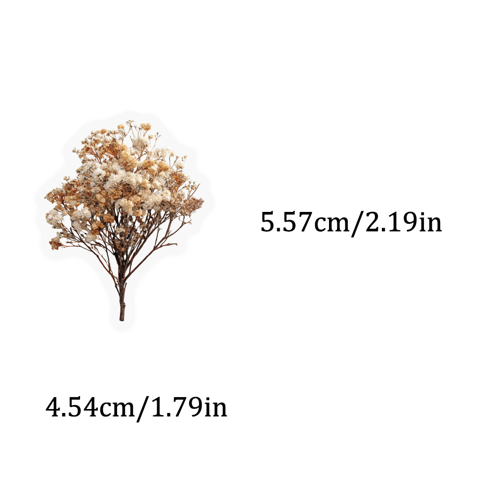 50PCS Retro Color Dried Flower - Dried Flower Bulk recension och pris