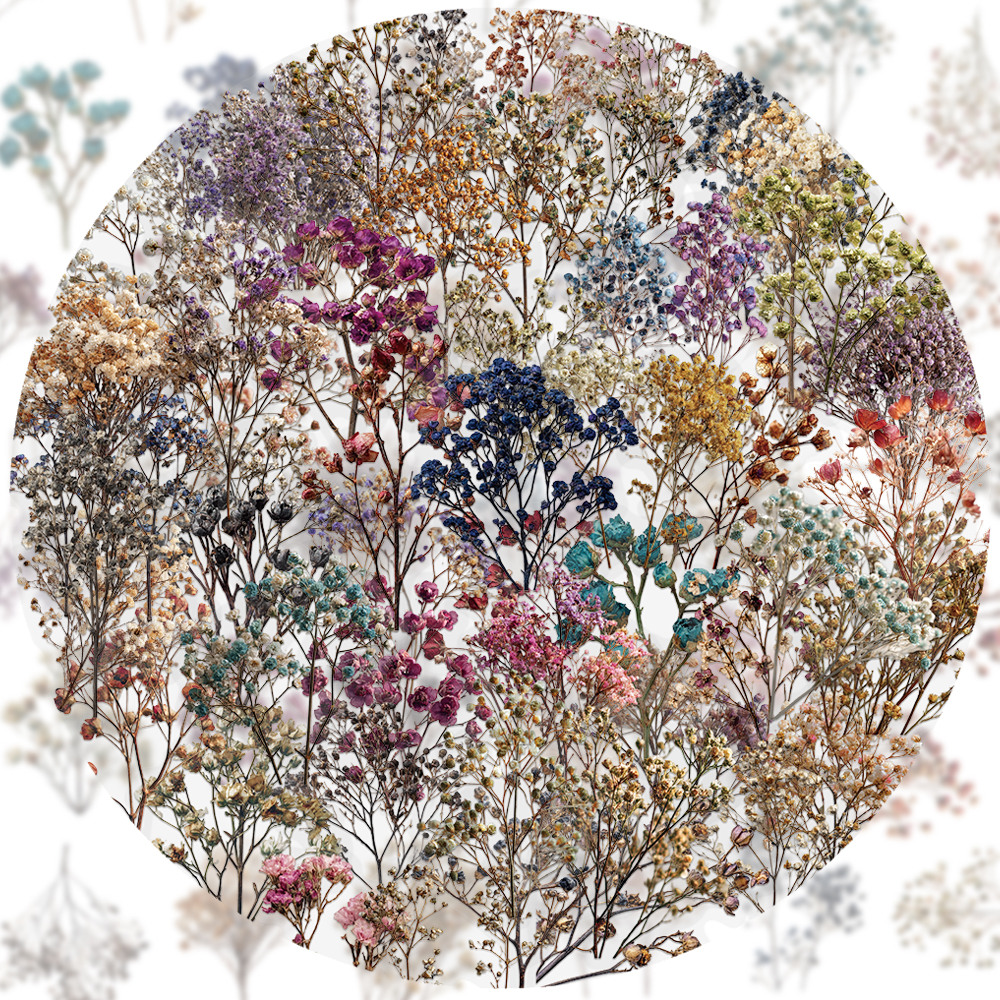 50PCS Retro Color Dried Flower - Dried Flower Bulk recension och pris