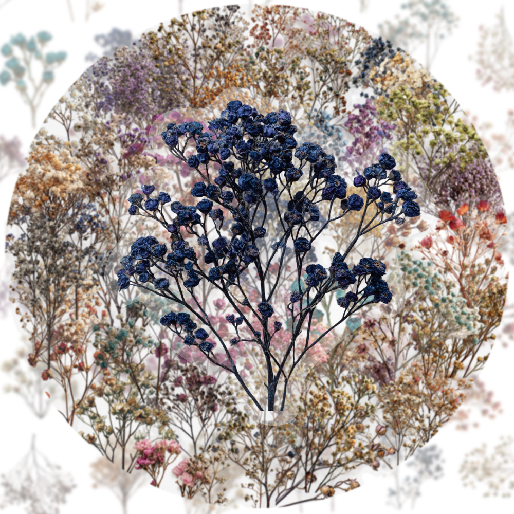 50PCS Retro Color Dried Flower - Dried Flower Bulk recension och pris