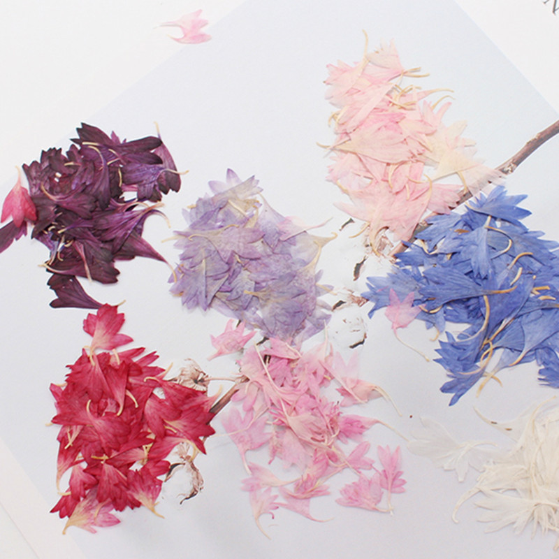 20 Plant Specimens, Cornflower - Resin Jewelry Kit recension och pris