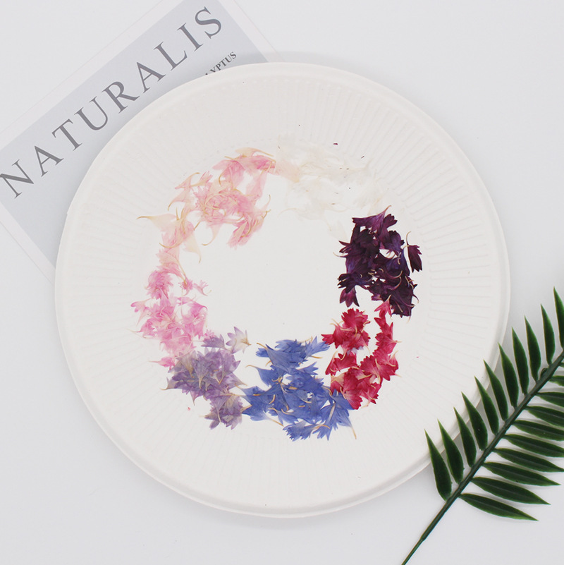 20 Plant Specimens, Cornflower - Resin Jewelry Kit recension och pris