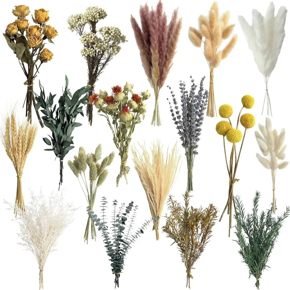 Natural Dried Flower Set, Mini - Dried Flower Bulk recension och pris