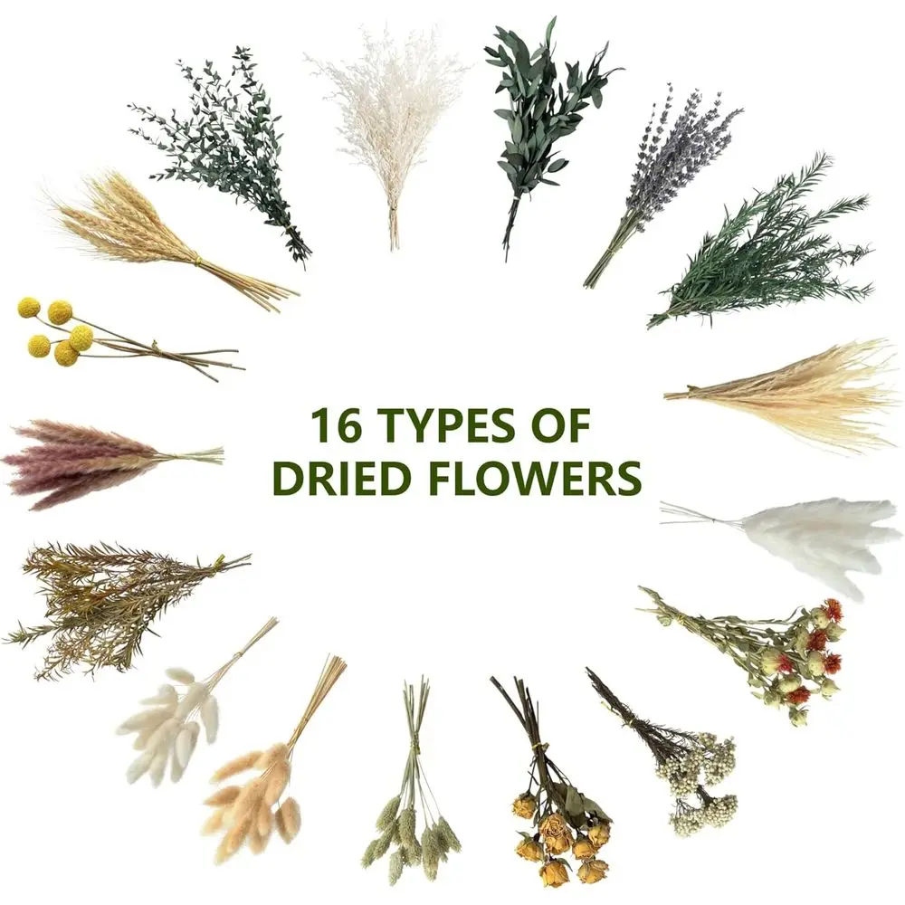 Natural Dried Flower Set, Mini - Dried Flower Bulk recension och pris