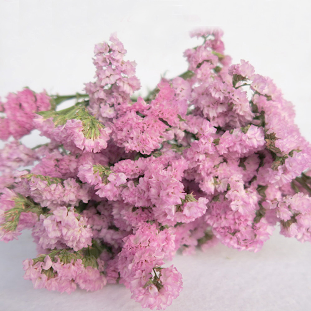 Pink color dried natural flowe - Dried Flower Bulk recension och pris
