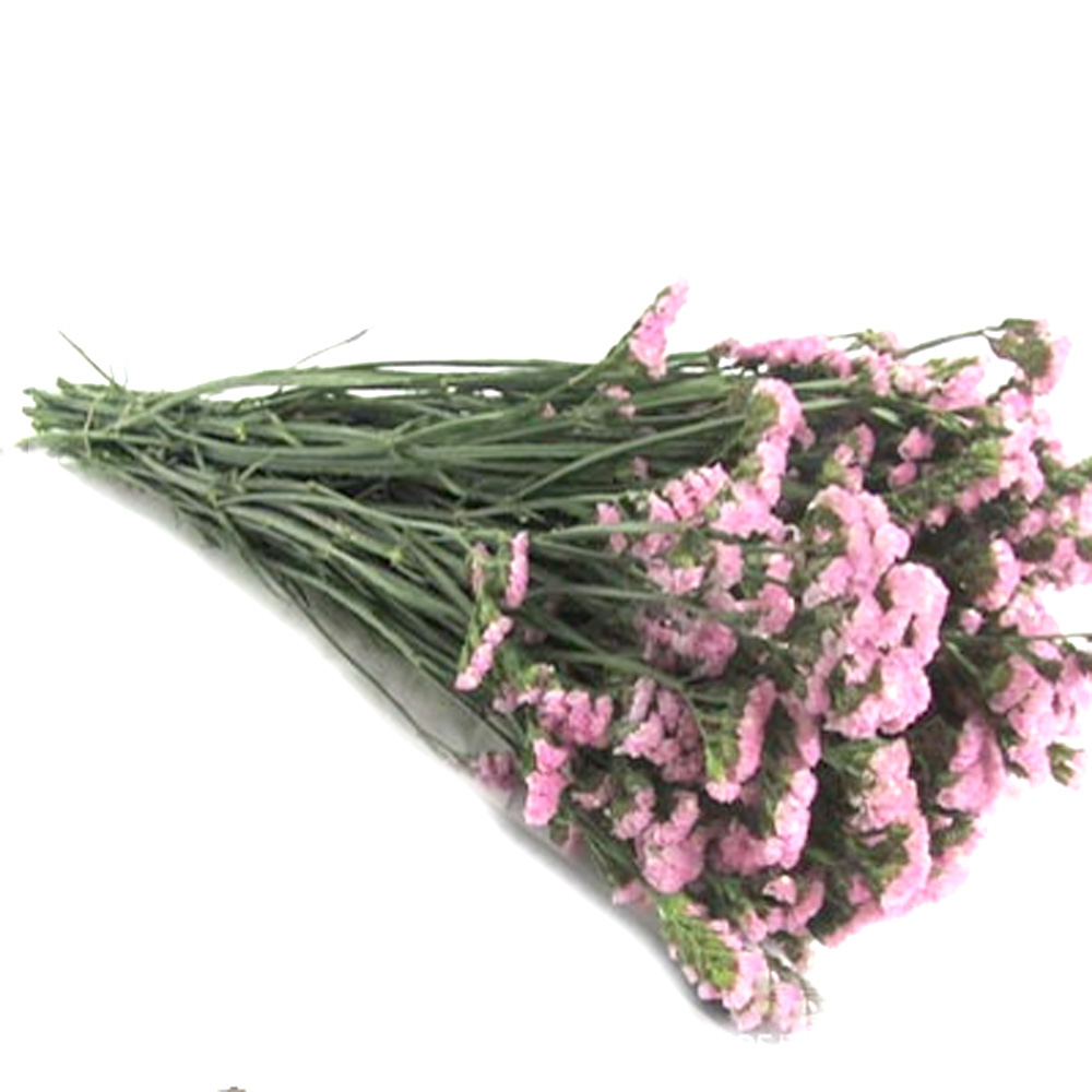 Pink color dried natural flowe - Dried Flower Bulk recension och pris
