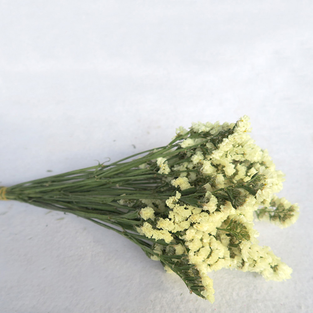 Pink color dried natural flowe - Dried Flower Bulk recension och pris