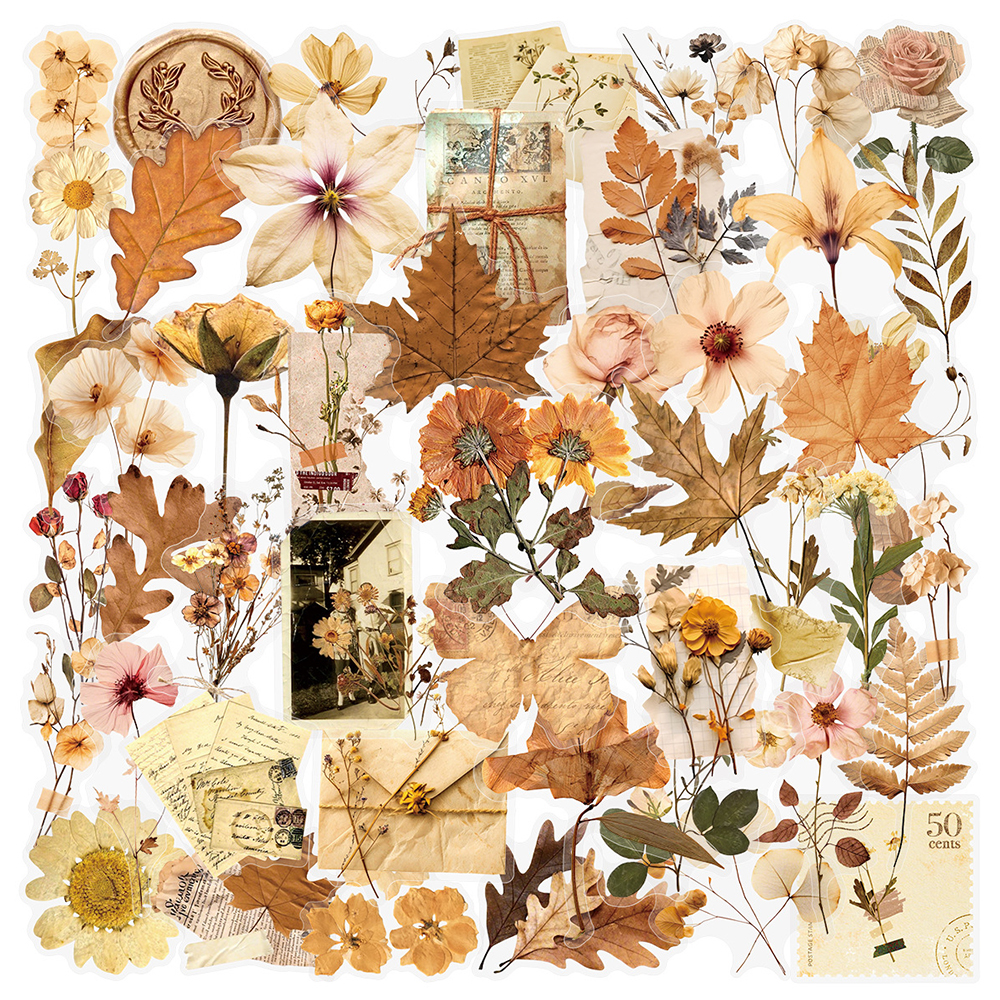 10/30/50pcs Transparent Dried  - Dried Flower Bulk recension och pris