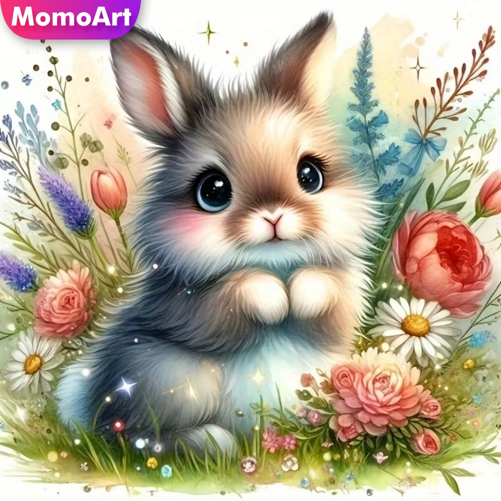 Momoart Diamond Painting Rabbi - Resin Craft For Beginners recension och pris