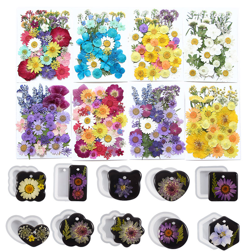 6pcsDried Flowers Real Natural - Resin Craft Ideas recension och pris